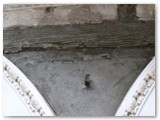 06 White Arches