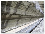 17 The nave cornice shaped by the mould