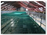 25 Safety netting in place across the central nave of the Cathedral before the trusses arrive