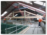 31 The truss is dropped onto two trolleys on the temporary timber roadways