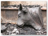 TD20 Head of Cow from Crib